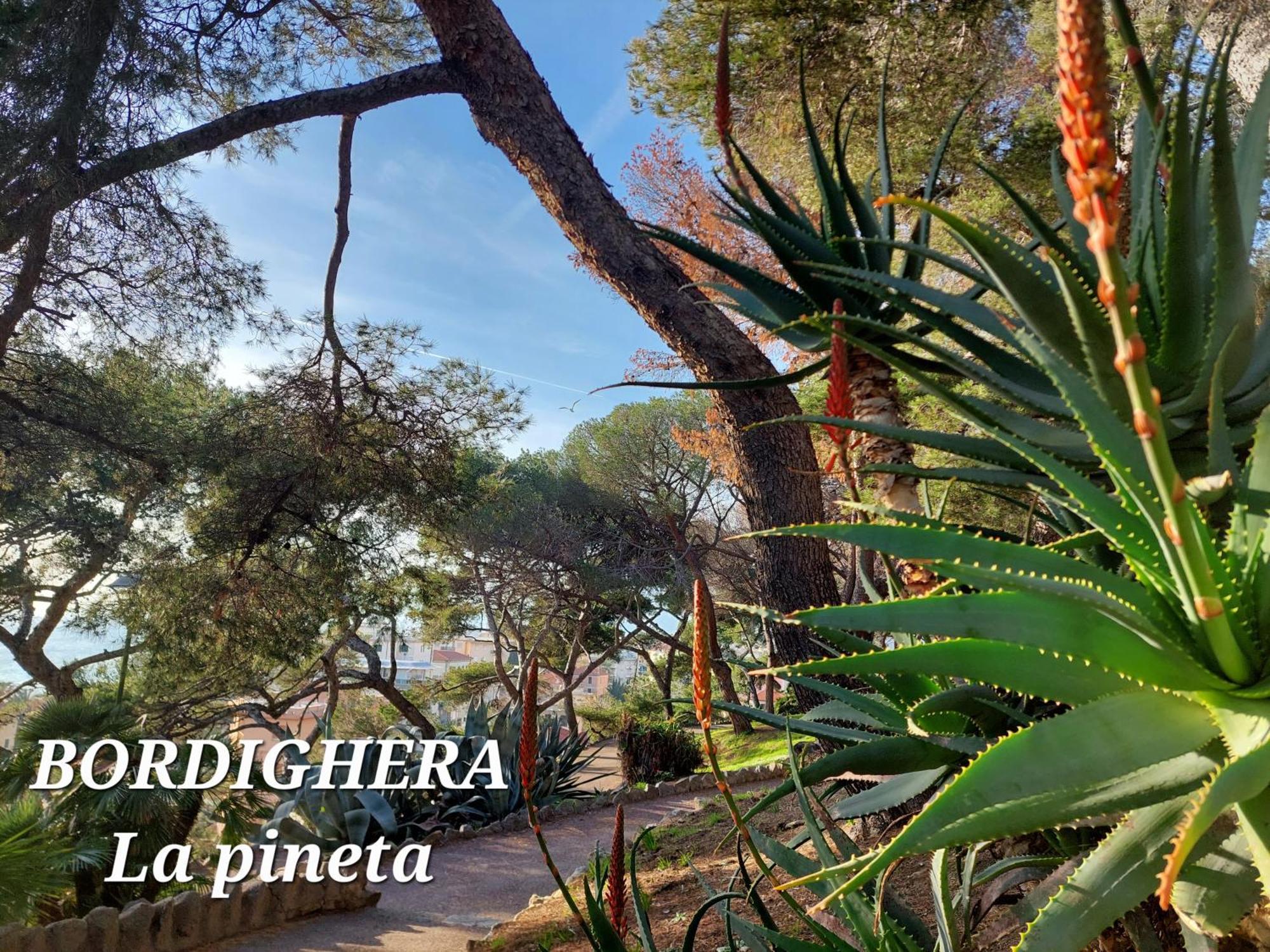 Emozioni Casa Vista Mare Bordighera Ngoại thất bức ảnh