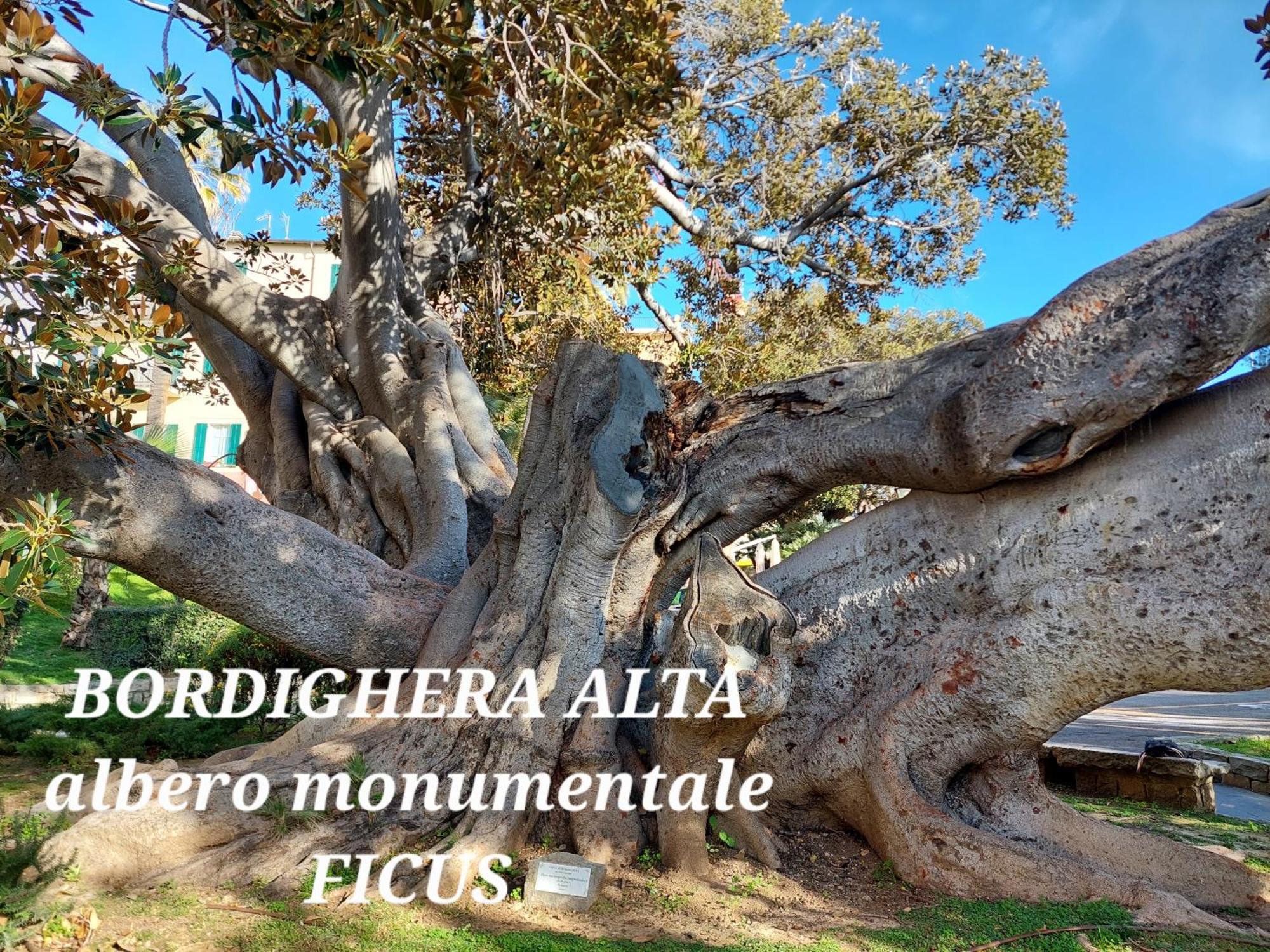 Emozioni Casa Vista Mare Bordighera Ngoại thất bức ảnh