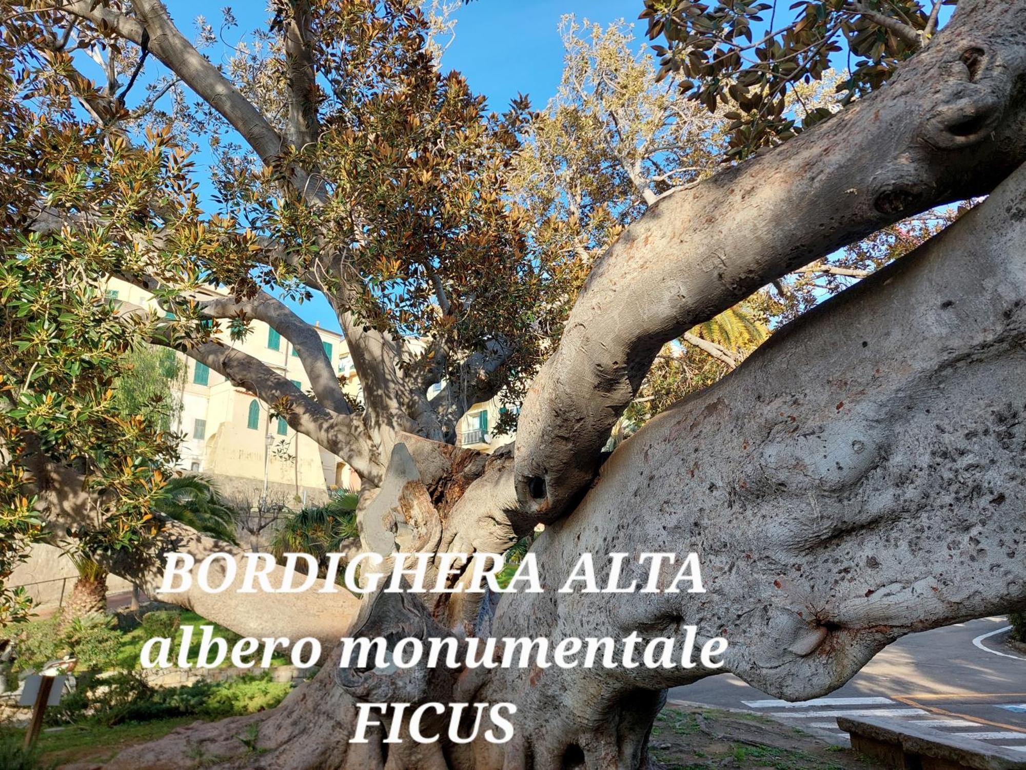 Emozioni Casa Vista Mare Bordighera Ngoại thất bức ảnh