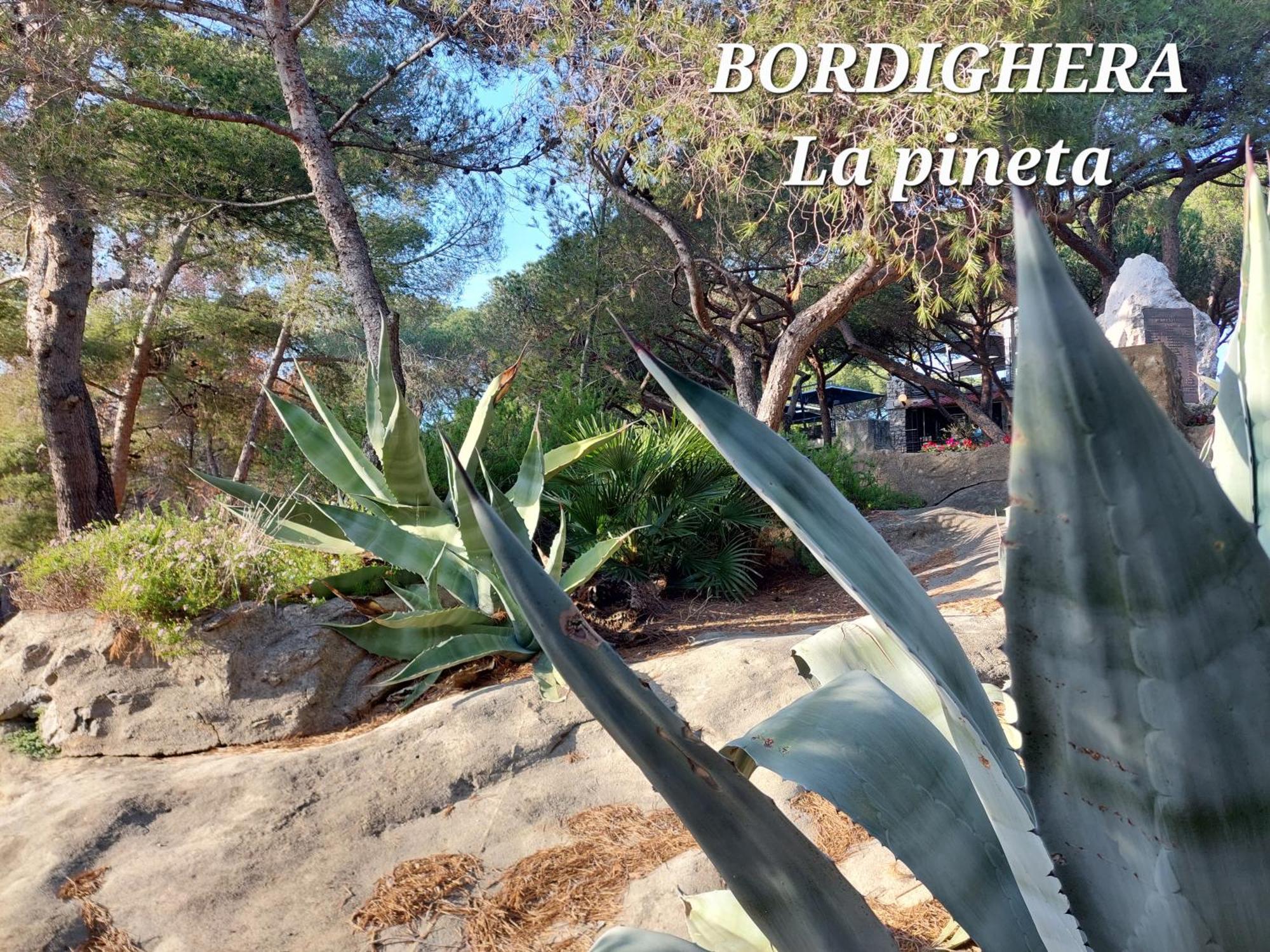 Emozioni Casa Vista Mare Bordighera Ngoại thất bức ảnh